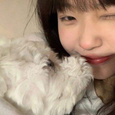 隐藏我的游戏2游戏下载